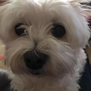 Meet your Posher, Randy